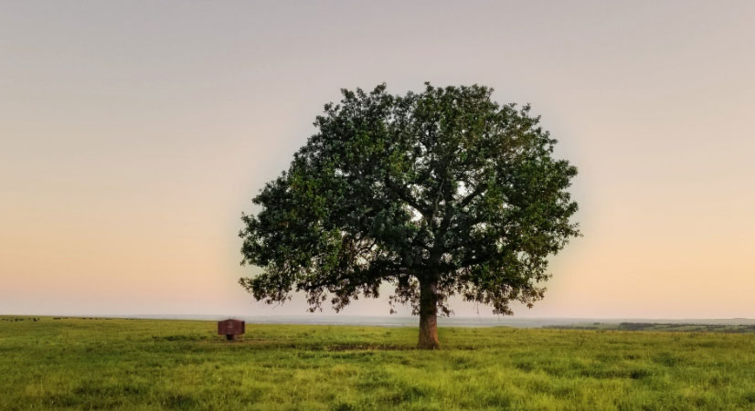 肩負重擔 推動我國經(jīng)濟、社會<br>環(huán)境全面協(xié)調(diào)可持續(xù)發(fā)展
